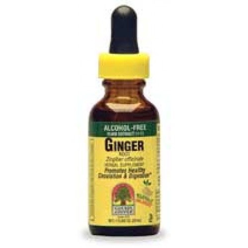 Nature\'s Answer Ginger Root Alcohol Free 1 oz